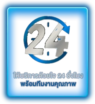 wiz333